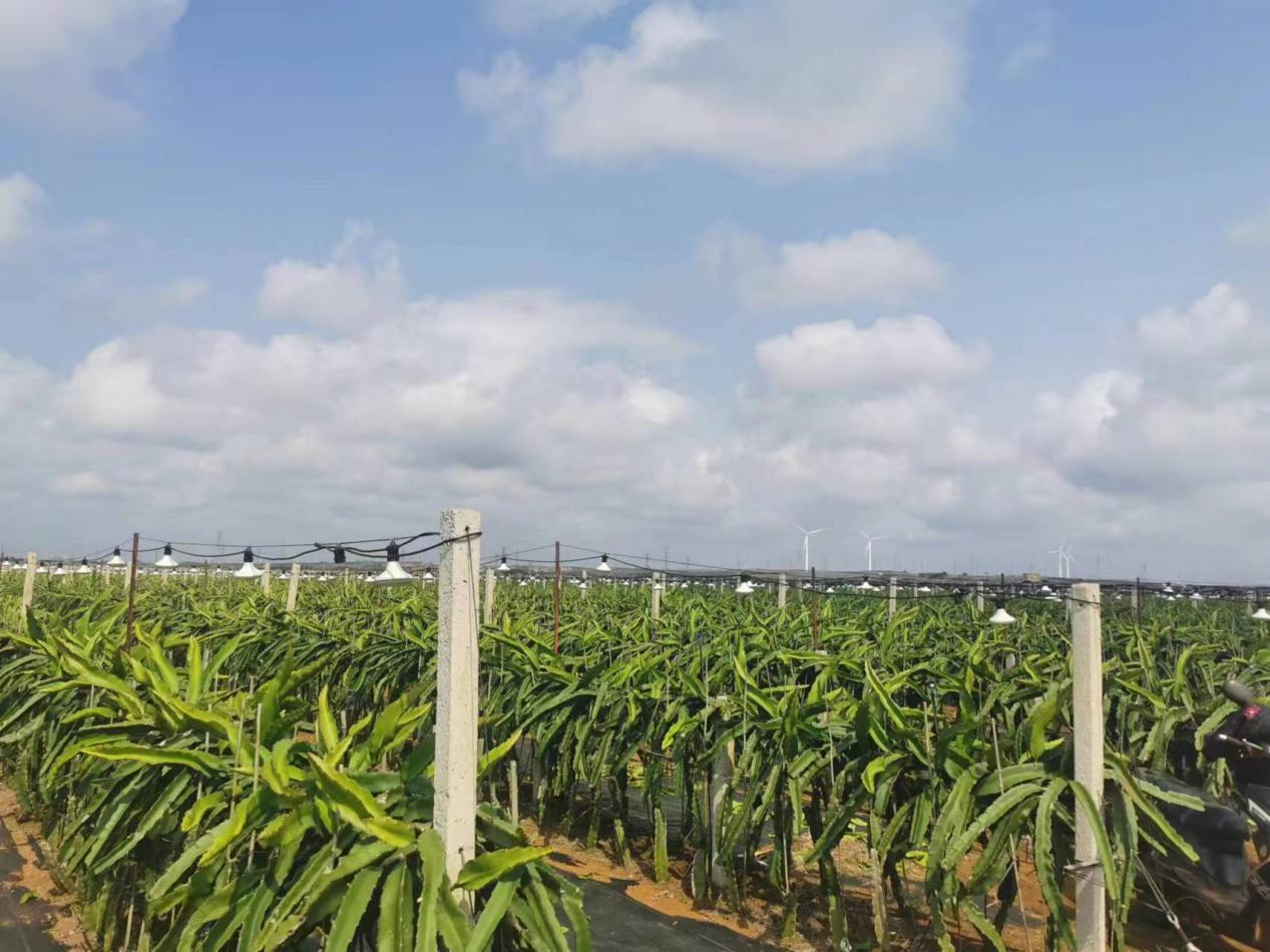 图片 4.png 图片 4.png