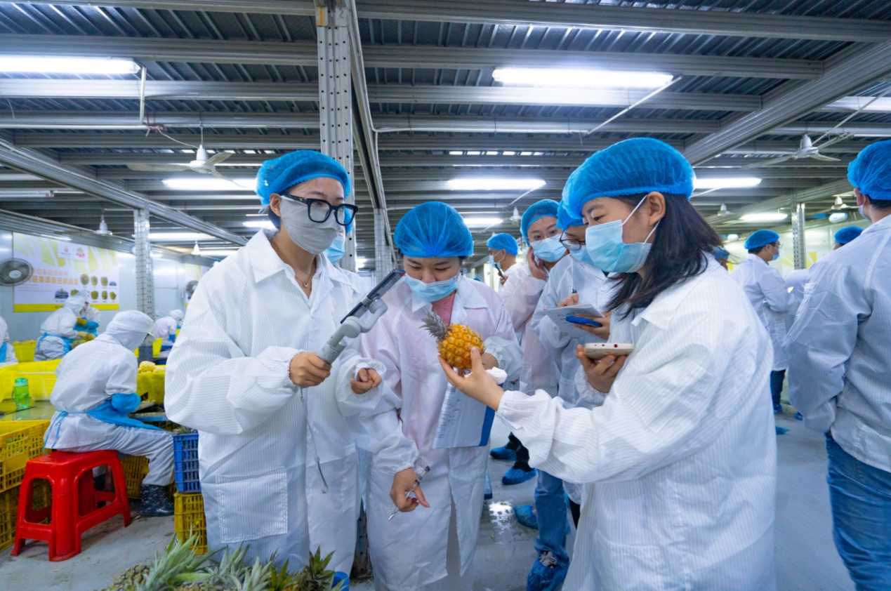 图片 7.png 图片 7.png